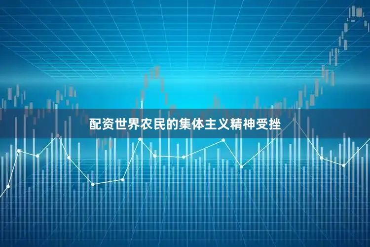 配资世界农民的集体主义精神受挫