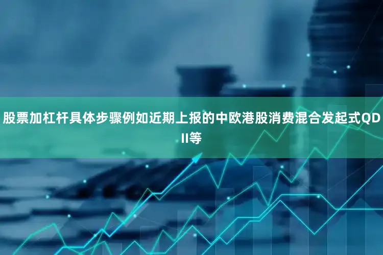 股票加杠杆具体步骤例如近期上报的中欧港股消费混合发起式QDII等
