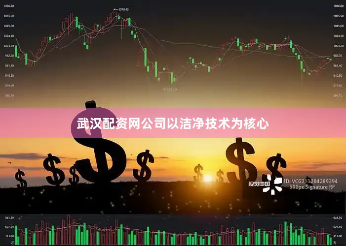 武汉配资网公司以洁净技术为核心
